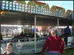Majestic Bumper Cars
