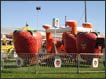 Sellner Berry-Go-Round